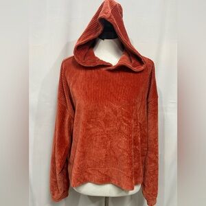 Aerie Hooded Cropped Pullover In Burnt Orange, Size Medium.